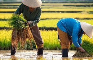 發掘本地默默耕耘好公司 (信報「財智博立」專欄)