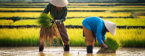 發掘本地默默耕耘好公司 (信報「財智博立」專欄)